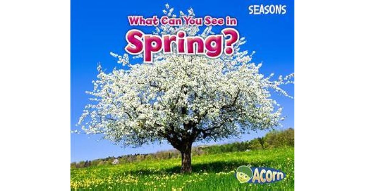 What Can You See in Spring? by Siân Smith