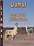 Raising Llamas: Facts About...