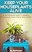 Keep Your Houseplants Alive by Nell Foster