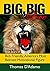 Big, Big Love: The Amazing True Story of Bob Friendly, America's Most Beloved Motivational Figure