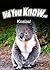 Koalas (Did You Know)
