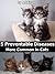 5 Preventable Diseases More Common in Cats by Addison