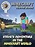 Minecraft: Steve's Adventur...