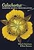Calochortus: Mariposa Lilies and their Relatives