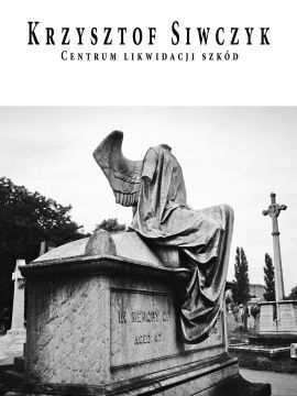 Centrum Likwidacji Szkód
