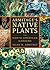 Armitage`s Native Plants for North American Gardens by Allan M. Armitage