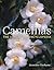 Camellias by Jennifer Trehane Camellias by Jennifer Trehane