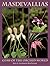 Masdevallias: Gems Of The Orchid World