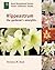 Hippeastrum by Veronica M. Read