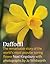 Daffodil The Remarkable Story of the World's Most Popular Spring Flower by Noel Kingsbury