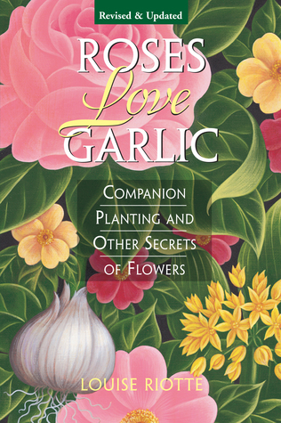 Roses Love Garlic: Companion Planting and Other Secrets of Flowers (Paperback)