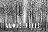 Among Trees