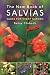 The New Book of Salvias: Sages for Every Garden