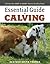 Essential Guide to Calving: Giving Your Beef or Dairy Herd a Healthy Start