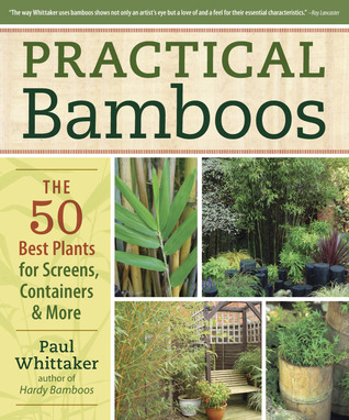 Practical Bamboos: The 50 Best Plants for Screens, Containers and More (Paperback)