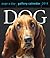 Dog 2014 Gallery Calendar by Workman Publishing