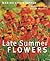 Late Summer Flowers