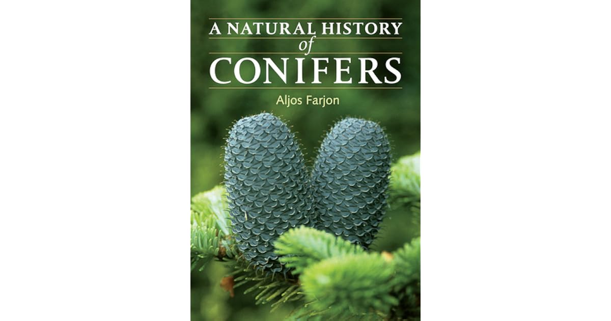 A Natural History of Conifers by Aljos Farjon