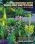 Gardening with Shape, Line and Texture: A Plant Design Sourcebook
