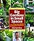 Big Gardens in Small Spaces: Out-of-the-Box Advice for Boxed-in Gardeners