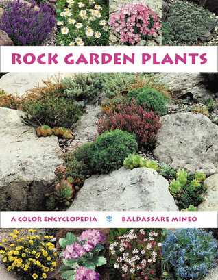 Rock Garden Plants: A Color Encyclopedia (Hardcover)