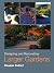 Designing and Renovating Larger Gardens