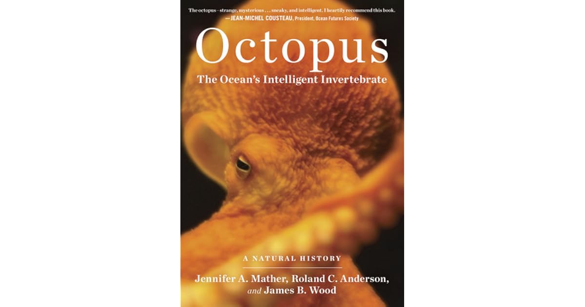 Octopus: The Ocean's Intelligent Invertebrate by Jennifer A. Mather