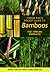 Timber Press Pocket Guide to Bamboos by Ted Jordan Meredith