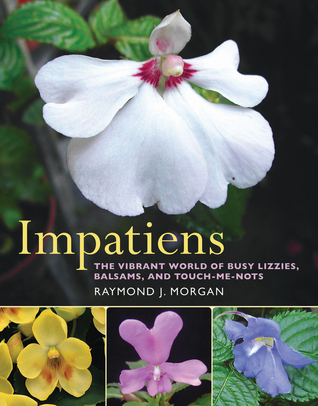 Impatiens: The Vibrant World of Busy Lizzies, Balsams, and Touch-me-nots (Hardcover)
