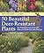 50 Beautiful Deer-Resistant...