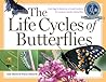 The Life Cycles of Butterflies: From Egg to Maturity, a Visual Guide to 23 Common Garden Butterflies The Life Cycles of Butterflies: From Egg to Maturity, a Visual Guide to 23 Common Garden Butterflies