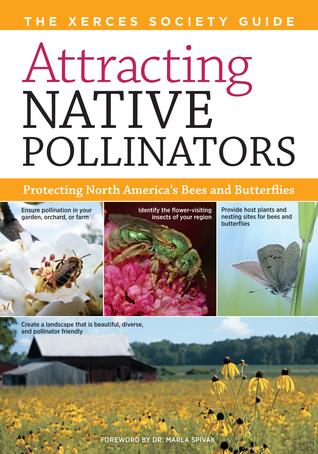 Attracting Native Pollinators; Protecting North America's Bees and Butterflies (Paperback)