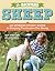 The Backyard Sheep