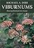 Viburnums: Flowering Shrubs...