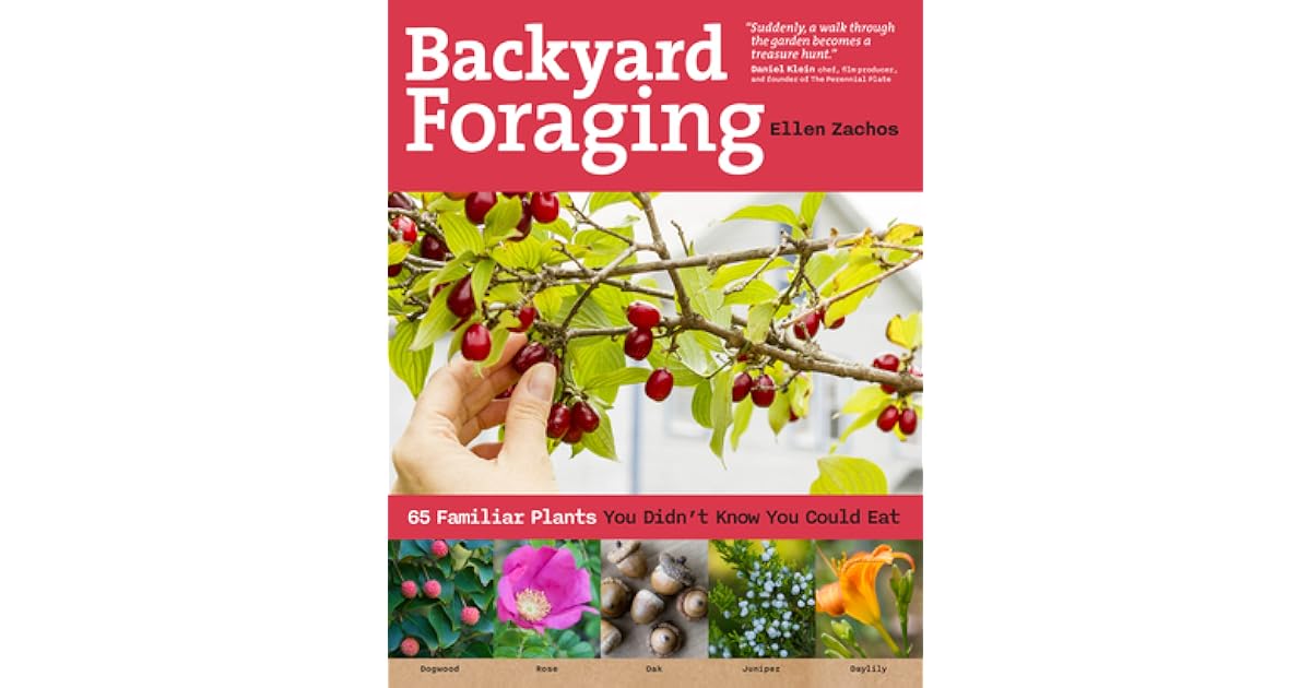 Backyard Foraging: 65 Familiar Plants You Didn't Know You Could Eat by ...