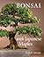 Bonsai With Japanese Maples