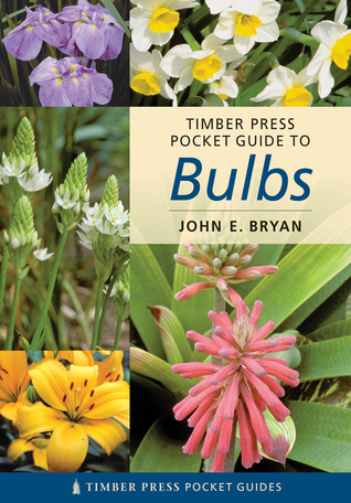 Timber Press Pocket Guide To Bulbs (Paperback)