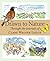 Drawn to Nature by Clare Walker Leslie