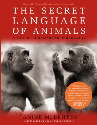 Secret Language of Animals: A Guide to Remarkable Behavior (Paperback)