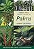 Timber Press Pocket Guide to Palms