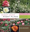 Right Rose, Right Place