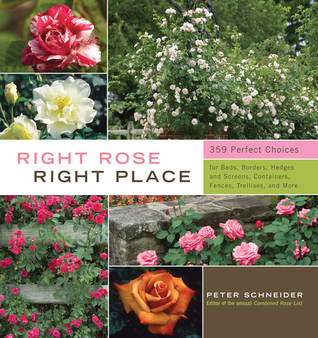 Right Rose, Right Place (Hardcover)