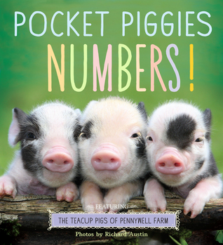 Pocket Piggies Numbers!: Featuring the Teacup Pigs of Pennywell Farm (Board Book)