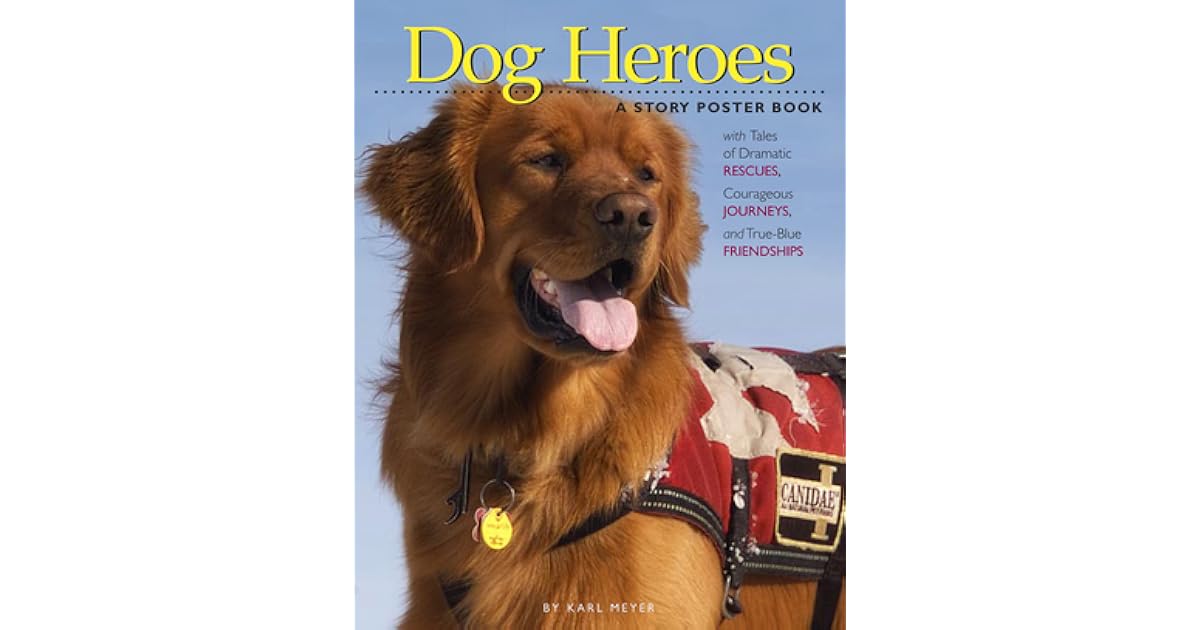 Dog Heroes: A Story Poster Book with Tales of Dramatic Rescues ...