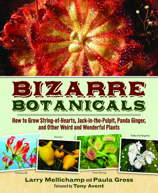 Bizarre Botanicals: How to Grow String-of-Hearts, Jack-in-the-Pulpit, Panda Ginger, and Other Weird and Wonderful Plants (Hardcover)