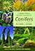 Timber Press Pocket Guide to Conifers by Richard Bitner