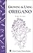 Growing & Using Oregano: St...