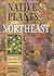Native Plants of the Northeast by Donald J. Leopold