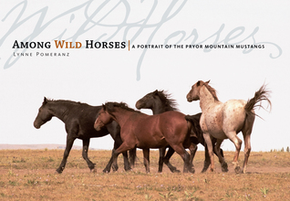 Among Wild Horses: A Portrait of the Pryor Mountain Mustangs (Hardcover)