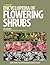 Timber Press Encyclopedia of Flowering Shrubs